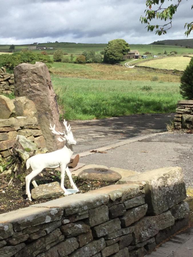Cosy Rural Cottage Peak District, Pets Welcome Hollinsclough Esterno foto